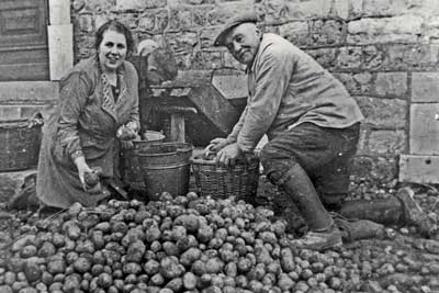 Einlagern der Kartoffelernte